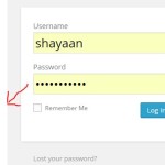 See your hidden password in few clicks